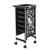 Salon Trolley Multi Functional Beauty Car Space Saving 