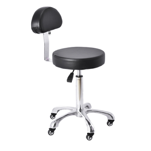 Heavy Duty Salon Stool Chair with Wheels Backrest