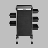 Hair Salon Trolley for Extra Hairdresser Storage Tool