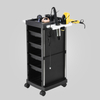 New Salon Trolley with 4Wheels for Additional Storage 5 Drawers