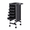 Salon Trolley Multi Functional Beauty Car Space Saving 