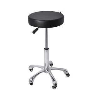 Height Adjustable Swivel Rolling Salon Stool on Wheels