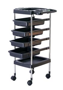 4 Wheels Mobile Salon Rolling Cart Beauty Trolley