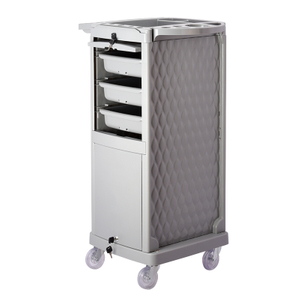 T18 Grey Hair Salon Storage Trolley Cart with Lockable Door