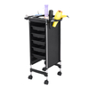 Salon Trolley Multi Functional Beauty Car Space Saving 