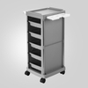 New Salon Trolley with 4Wheels for Additional Storage 5 Drawers