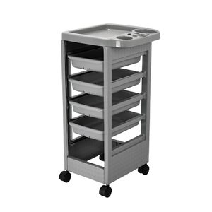 T22 Gray Portable Beauty Salon Rolling Cart